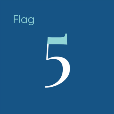 A professional typography diagram illustrating the flag anatomy of a typeface using the numeral number five