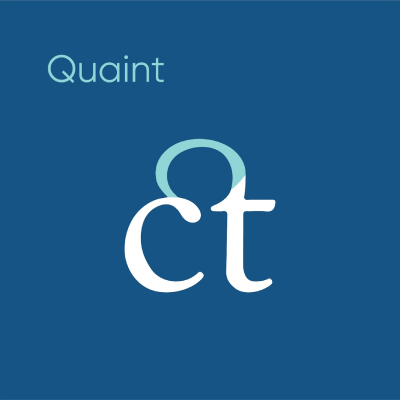 A professional typography diagram illustrating the quaint anatomy of a typeface using the combined letters c and t