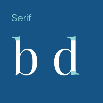 A professional typography diagram illustrating the serif anatomy of a typeface using the letters b and d