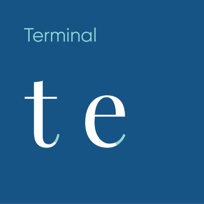 A professional typography diagram illustrating the terminal anatomy of a typeface using the letters t and e