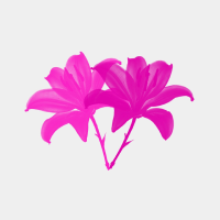 A professional pink lily flower logo design featuring delicate petal details for creative floral branding and projects