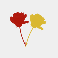 A professional red and yellow rose flower brush design featuring delicate petals for elegant botanical branding projects